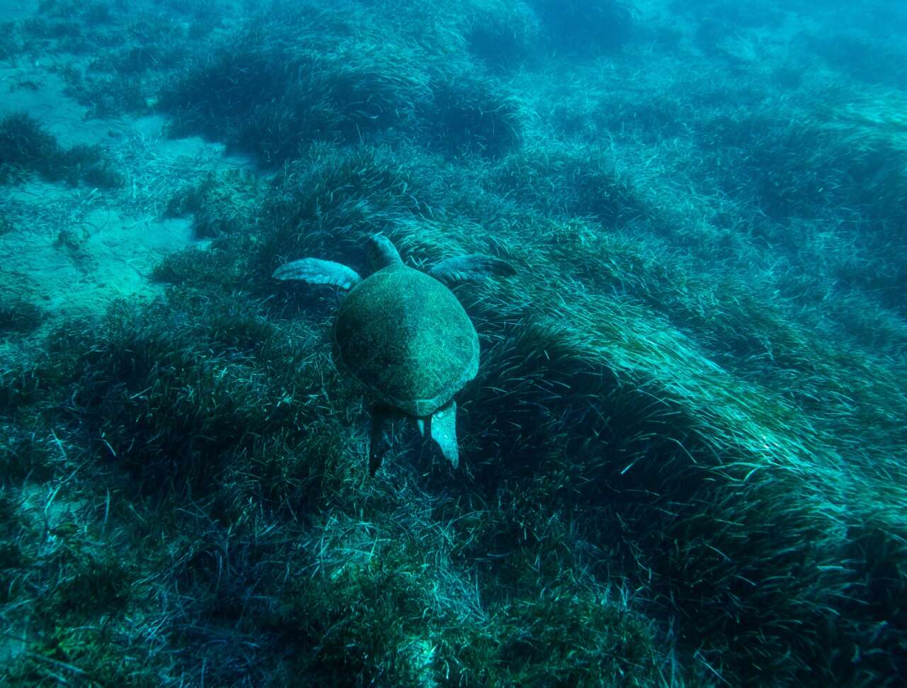 Bodrum'un Altındaki Gizli Dünya İlk Kez Bu Kadar Net Görüntülendi 3